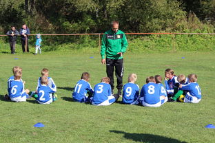 南非混合泳团队战术引热议，南非的混合农业